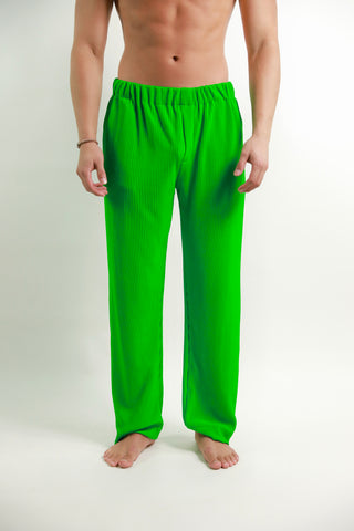 SS22 Parakeet Green Pleated Trousers